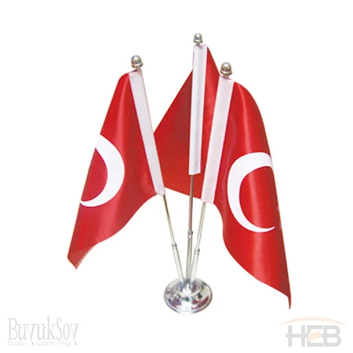 Türk bayrağı baskısı